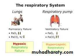Pharmacology for Respiratory