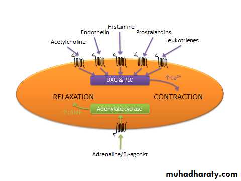 Pharmacology for Respiratory