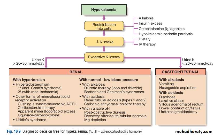 disorders of k balance