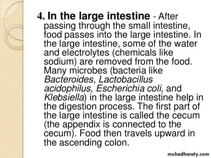 Digestion and absorption