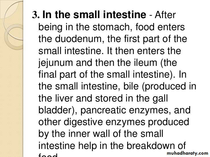 Digestion and absorption