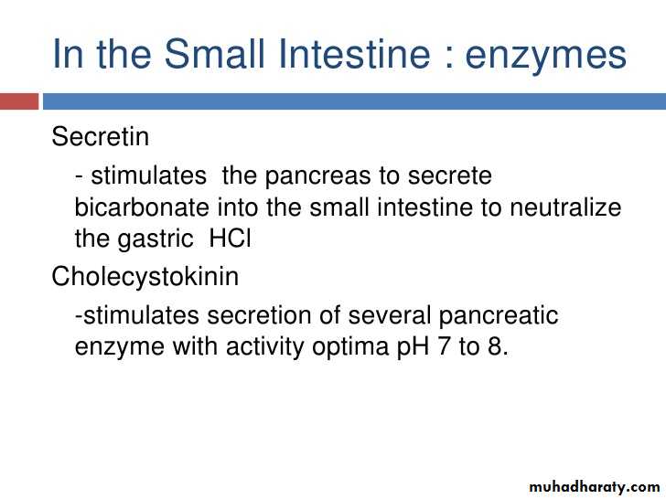 Digestion and absorption
