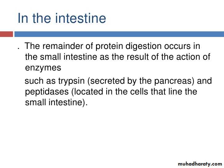 Digestion and absorption