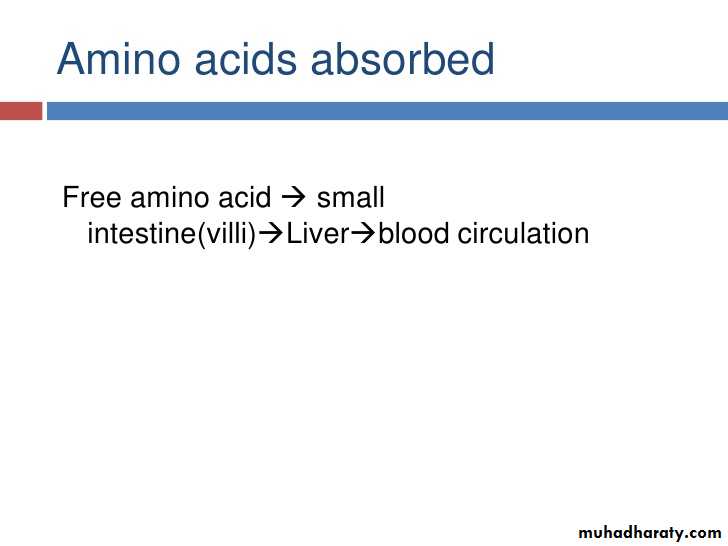 Digestion and absorption