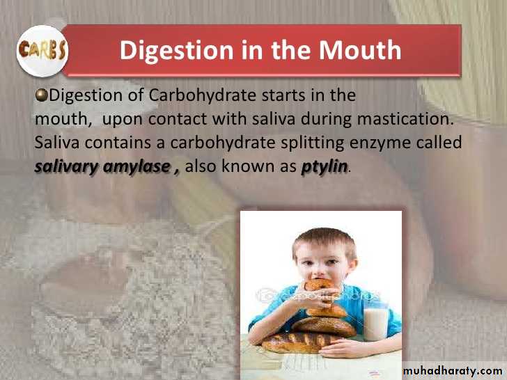 Digestion and absorption
