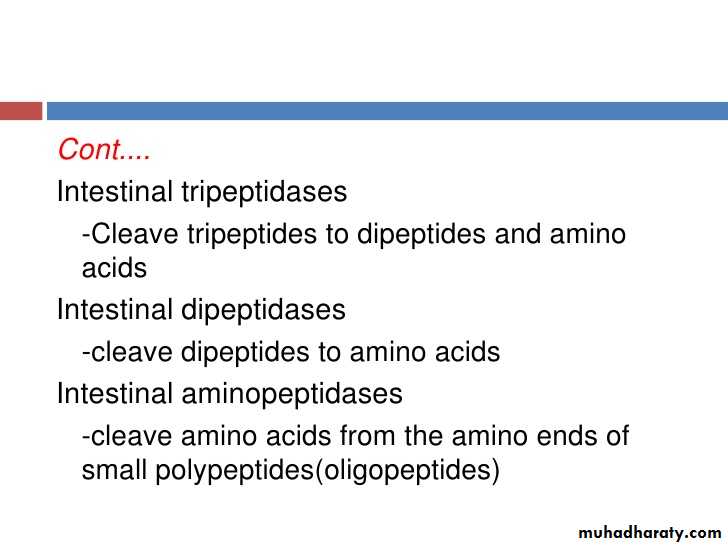 Digestion and absorption