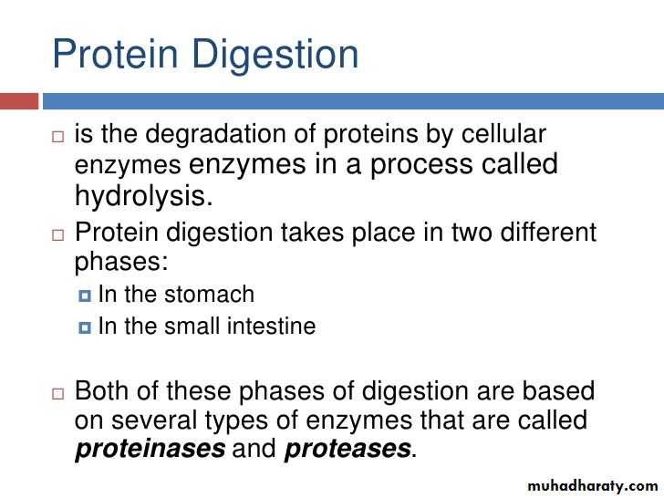 Digestion and absorption