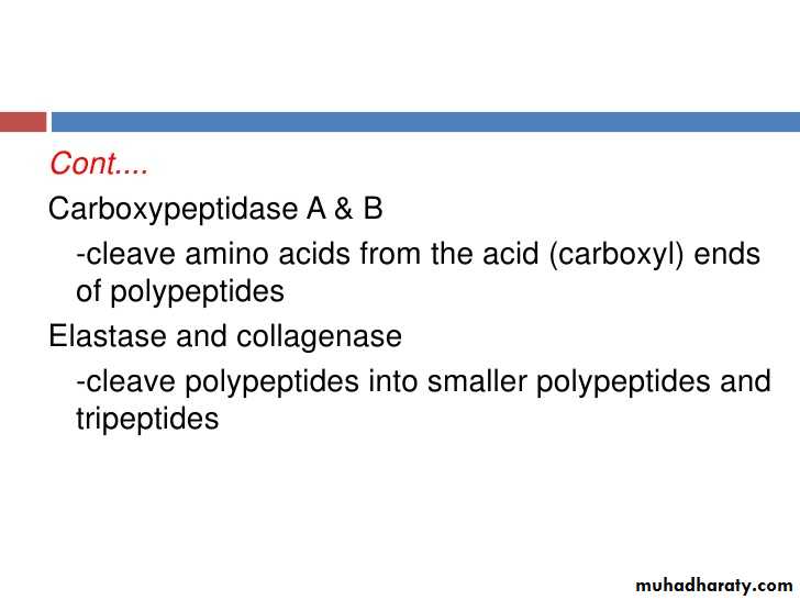 Digestion and absorption