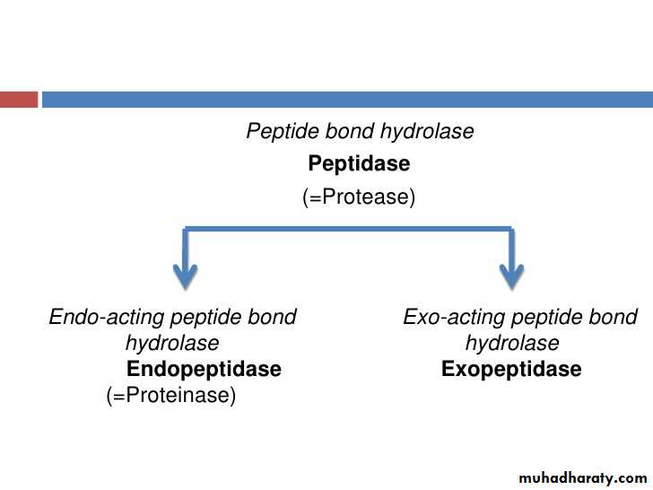 Digestion and absorption