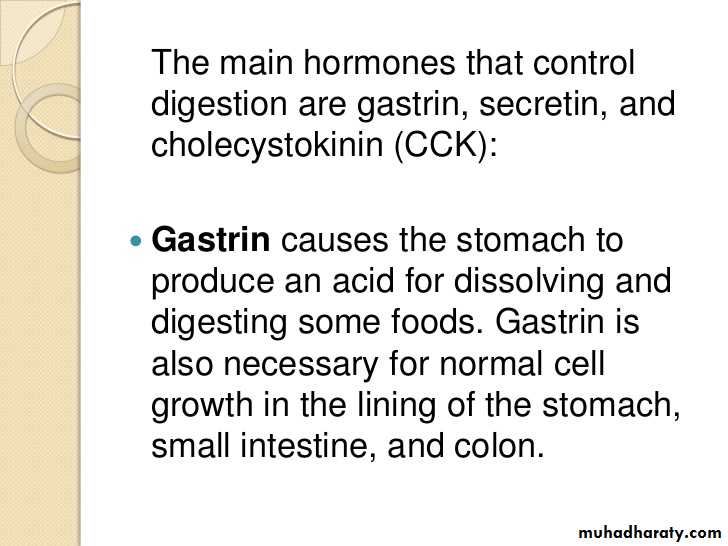 Digestion and absorption