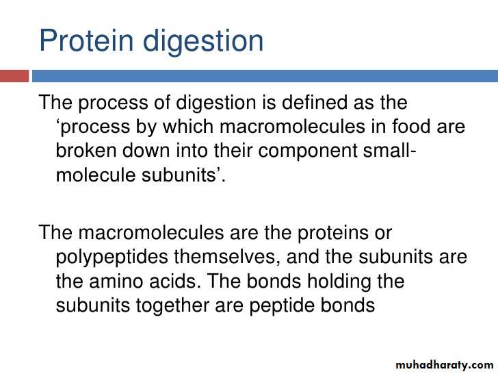 Digestion and absorption