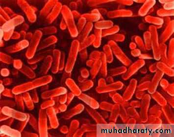 Pneumonia