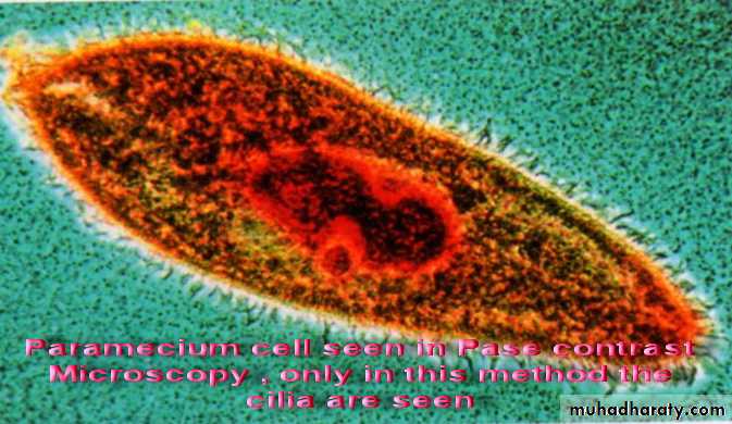 Practical sterilization