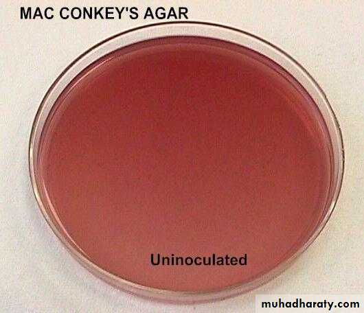 Practical bacterial identification