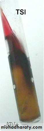 Practical TSI test