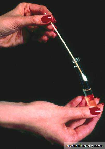 Antibiotic sensitivity testing
