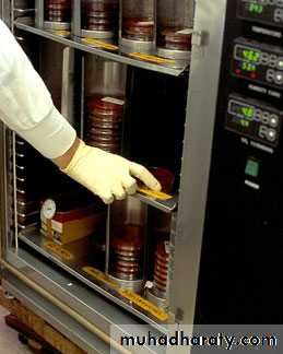 Antibiotic sensitivity testing