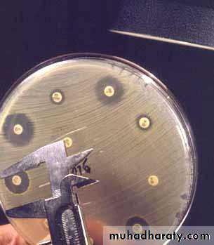 Antibiotic sensitivity testing