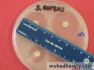 Antibiotic sensitivity testing