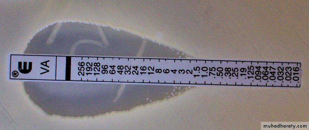 Antibiotic sensitivity testing