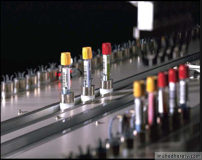 Antibiotic sensitivity testing