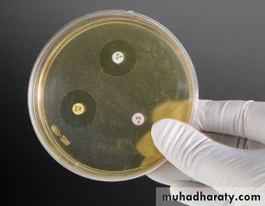 Antibiotic sensitivity testing