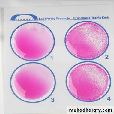 Practical non enteric G n rods