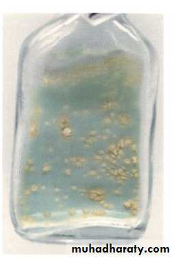 Practical non enteric G n rods
