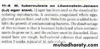 Practical non enteric G n rods
