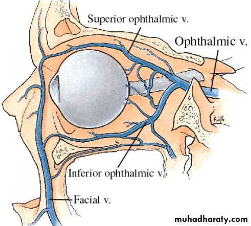 orbital and periorbital infectioun