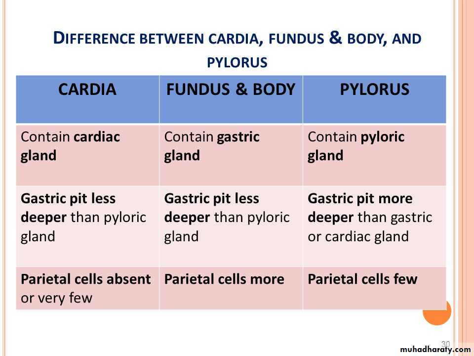 General histo theory