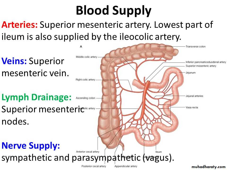 General histo theory