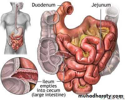 General histo theory