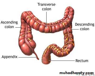 General histo theory