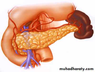 General histo theory