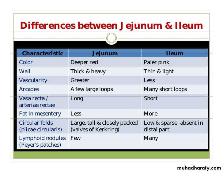 General histo theory