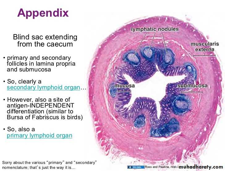 General histo theory
