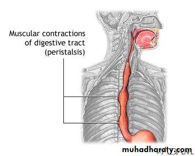 General histo theory