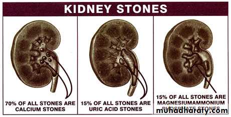 General histo theory