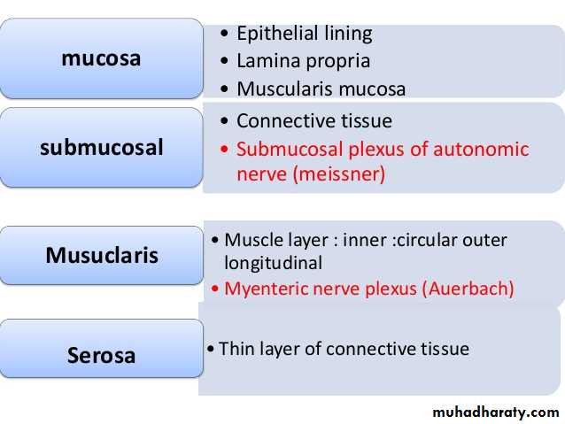 General histo theory