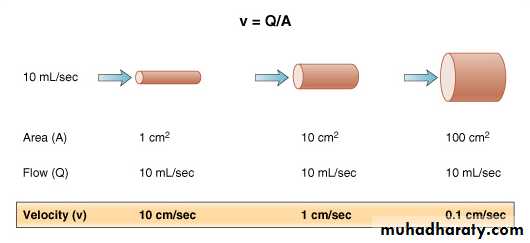 CVS1