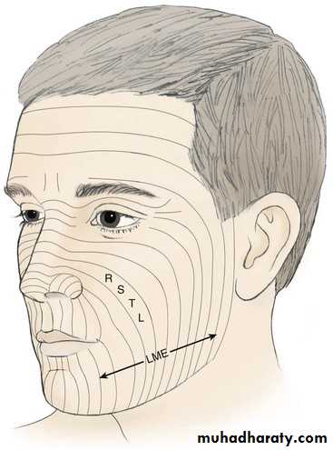 the head