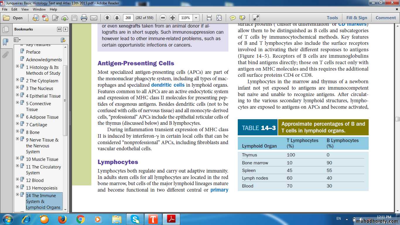 lymphoid system