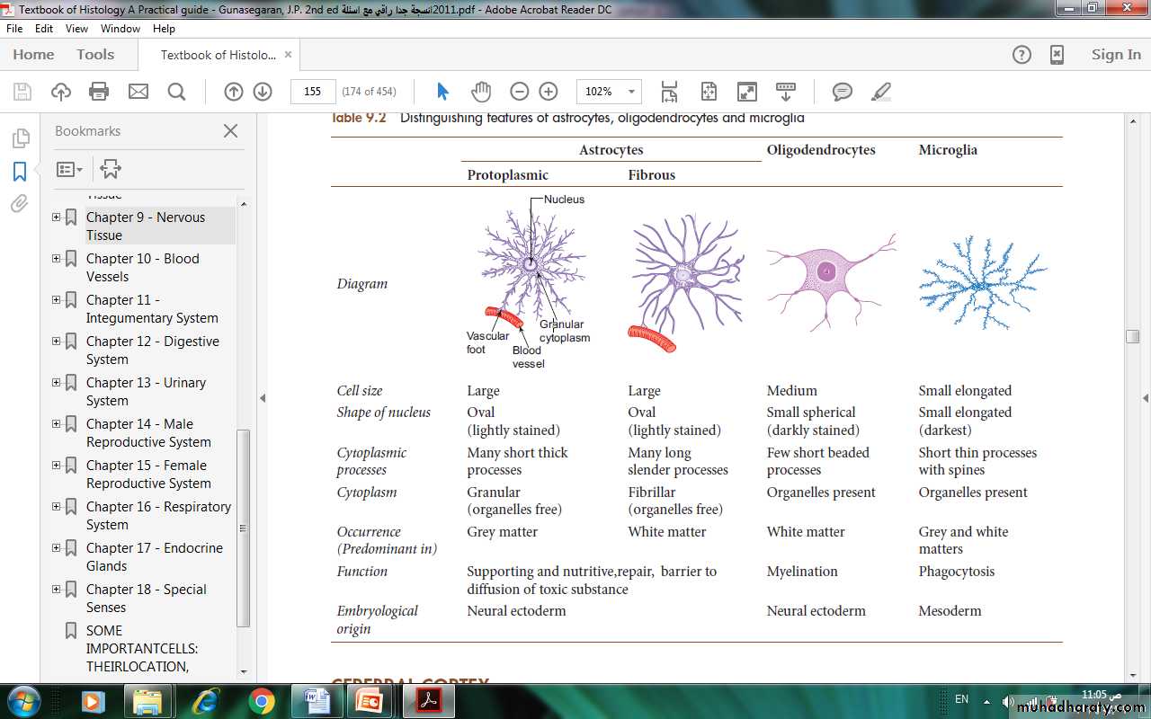 Nervous system