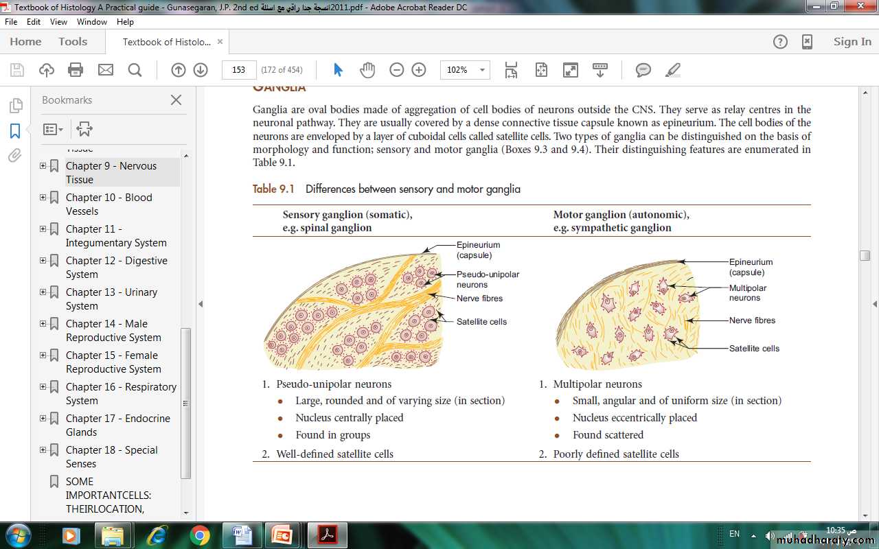 Nervous system