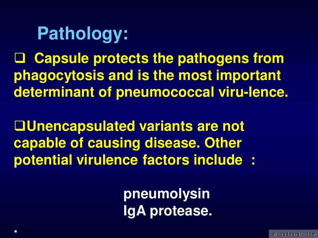 Streptococcus Pneumonia