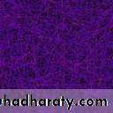 Alopecia