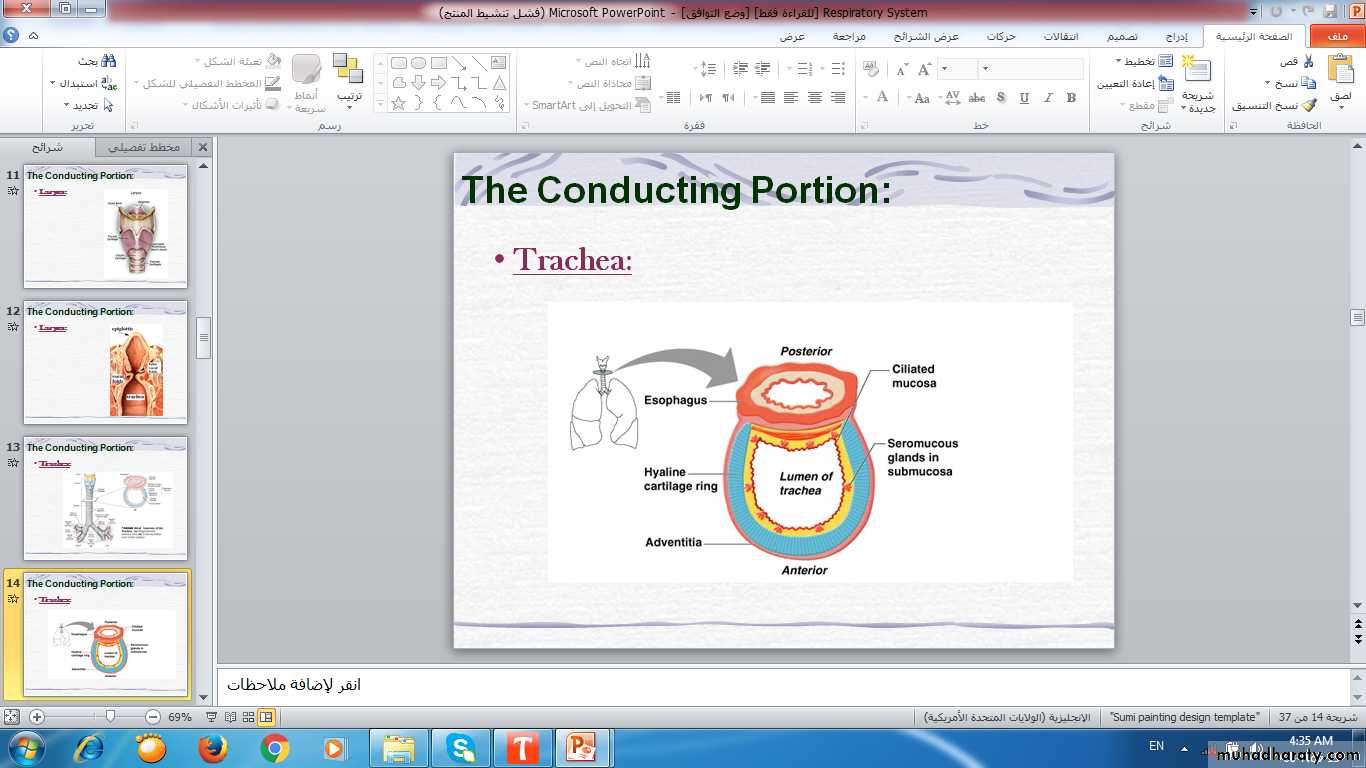 respiratory system