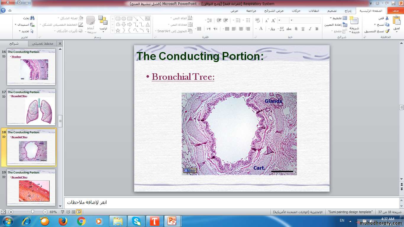 respiratory system
