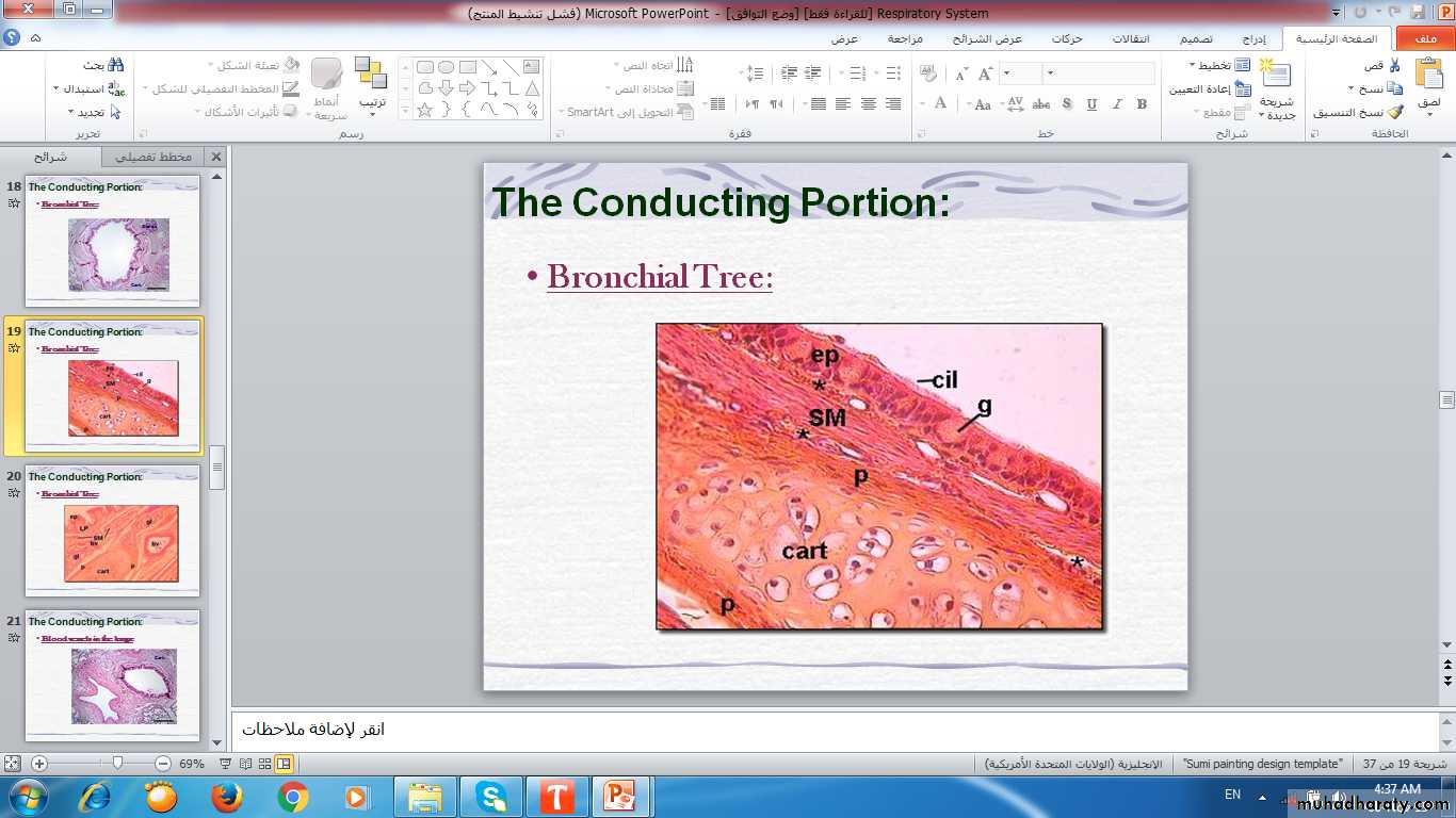 respiratory system